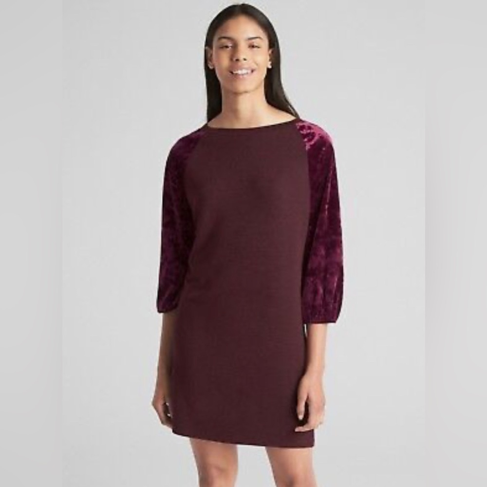 Gap Raglan Velvet Dress EUC
